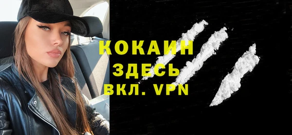 индика Вязники