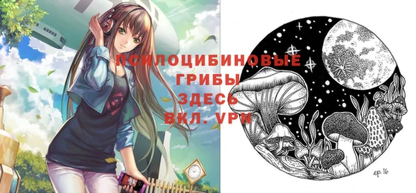шишки Верхнеуральск