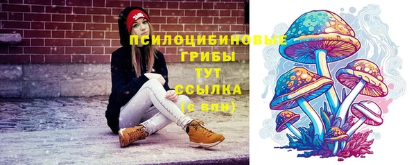 амф Верхний Тагил