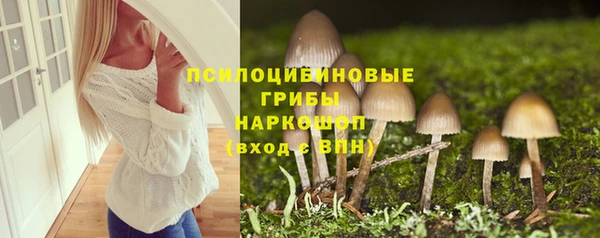меф Вяземский