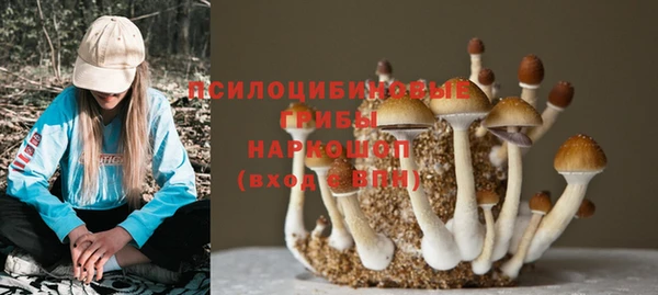 MDMA Premium VHQ Волоколамск