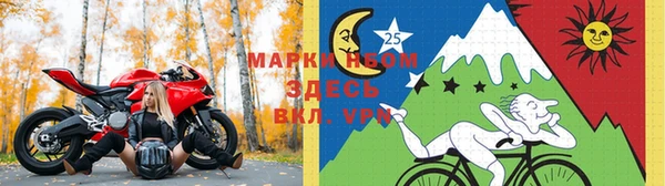 индика Вязники