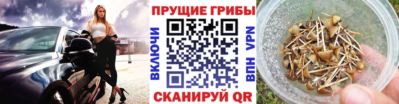 даркнет сайт  Заречный  Галлюциногенные грибы мухоморы 